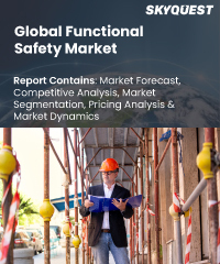 Global Functional Safety Market