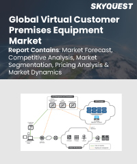 Global Virtual Customer Premises Equipment Market