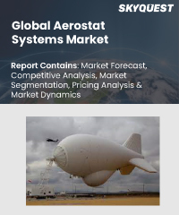 Combat Drone Market