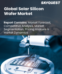 Global Solar Silicon Wafer Market