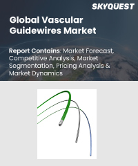 Global Vascular Guidewires Market