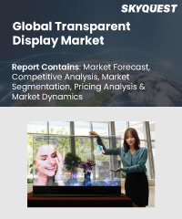 Global Transparent Display Market