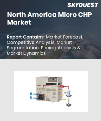 Global Methanol Market