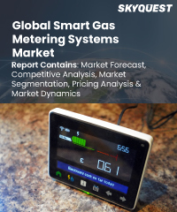 Global Smart Gas Metering Systems Market