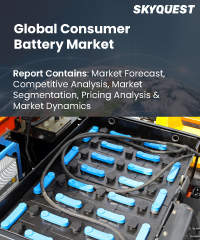 Global Consumer Battery Market