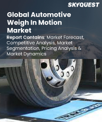 Global Automotive Weigh In Motion Market