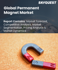 Global Permanent Magnet Market