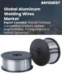 Global Silicon Metal Market