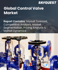 Global Control Valve Market