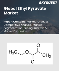 Global Lactate Salts market