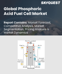 Electric Vehicle Battery Market