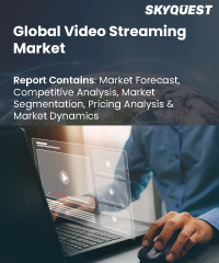 Video Streaming Market