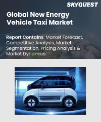 Global New Energy Vehicle Taxi Market