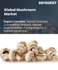 Soybean Derivatives Market