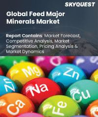 Global Organic Acid Market