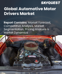 Global Automotive Motor Market
