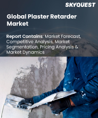 Global Plaster Retarder Market