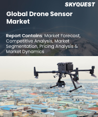 Global Drone Sensor Market