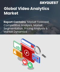 Global Video Analytics Market