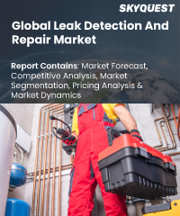 Global Leak Detection and Repair Market