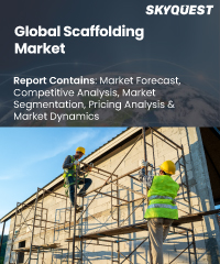 Global Scaffolding market