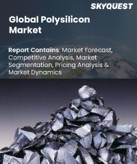 Global Polymer Market