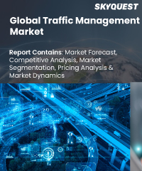 Global Traffic Management Market