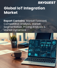 Global IoT Integration Market