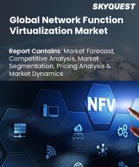 Global Network Function Virtualization Market