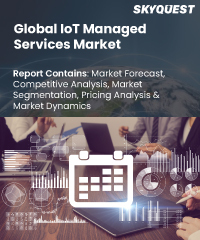 Global IOT Security Market