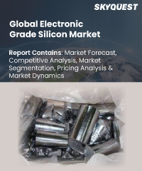 Global Electronic Grade Silicon Market