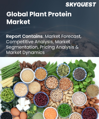 Global Plant Protein Market