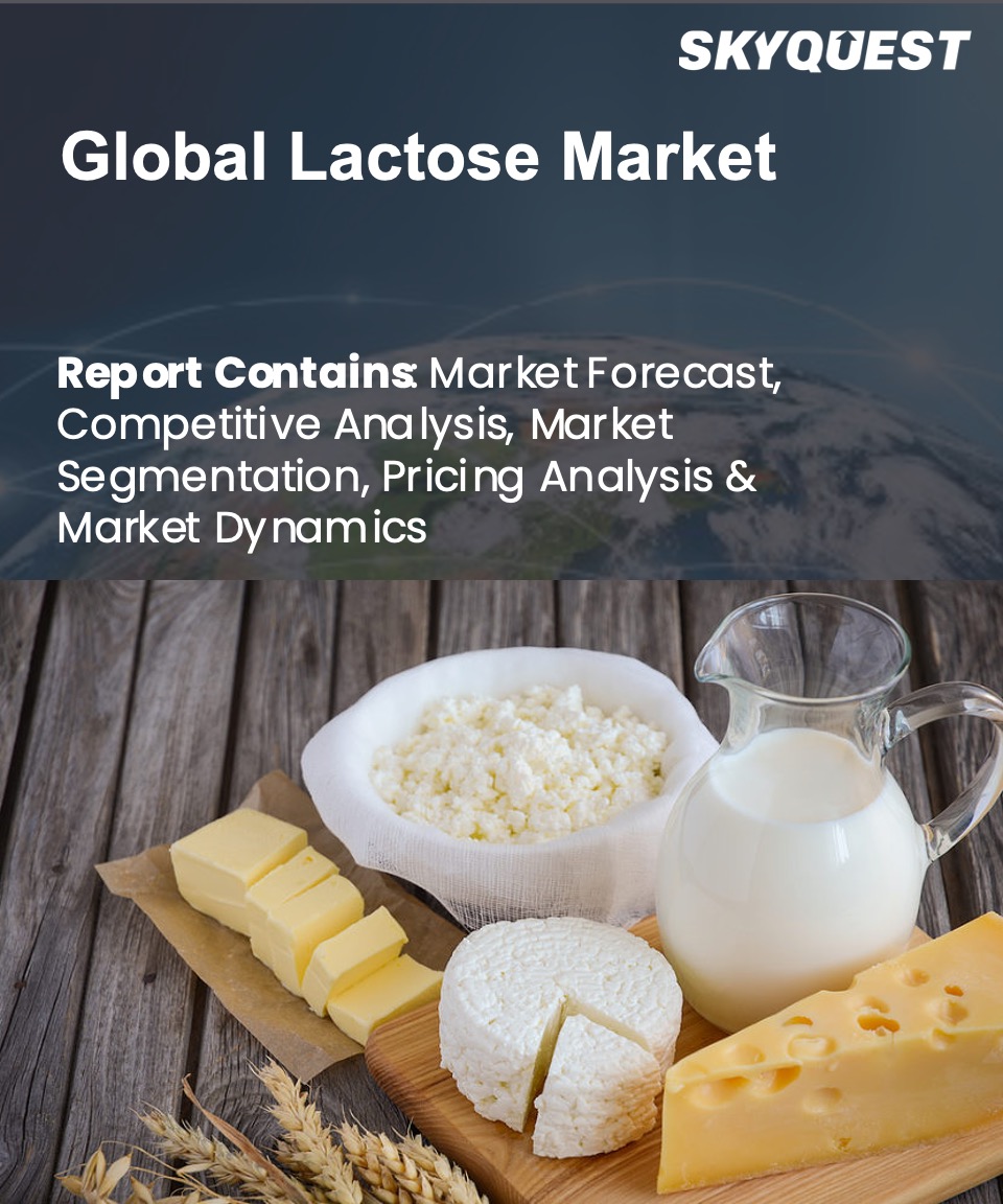 Global Lactose Market