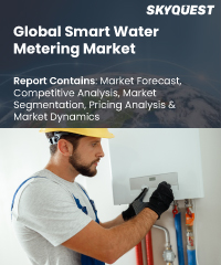 Global Smart Water Metering Market