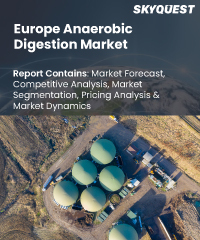 Geophysical Service Market