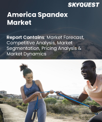 Americas Spandex Market