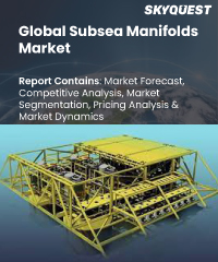 Coiled Tubing Market