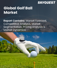 Global Sports Protective Equipment Market