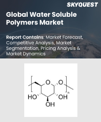 Global Water Soluble Polymers Market