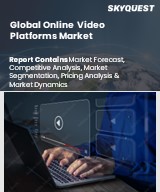 Online Video Platforms Market