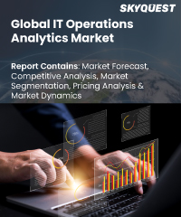 Global Data Analytics Outsourcing Market