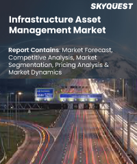 Infrastructure Asset Management Market