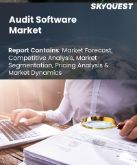 Audit Software Market