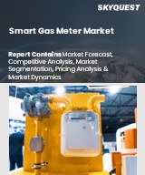 Smart Gas Meter Market