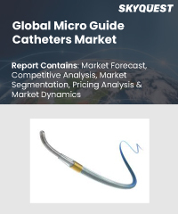 Global Micro Guide Catheters Market