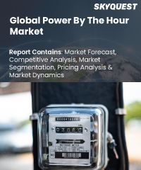 Global Power By The Hour Market