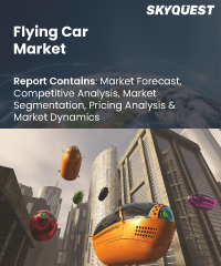 Flying Car Market