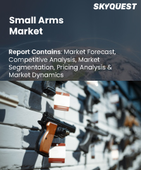 Small Arms Market