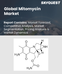 Vinyl Cyclohexane Market