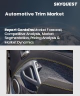 Automotive Trim Market